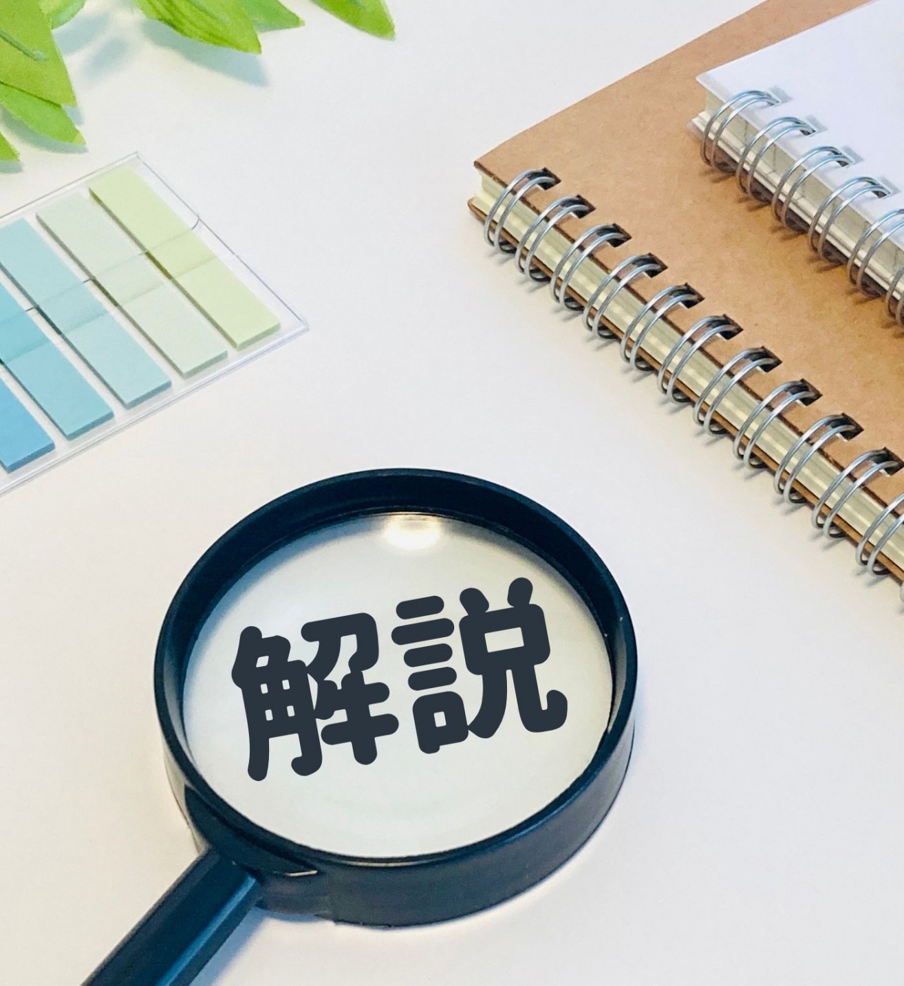 “学ぶ”から“働く”へ。即戦力としての雇用が可能に。