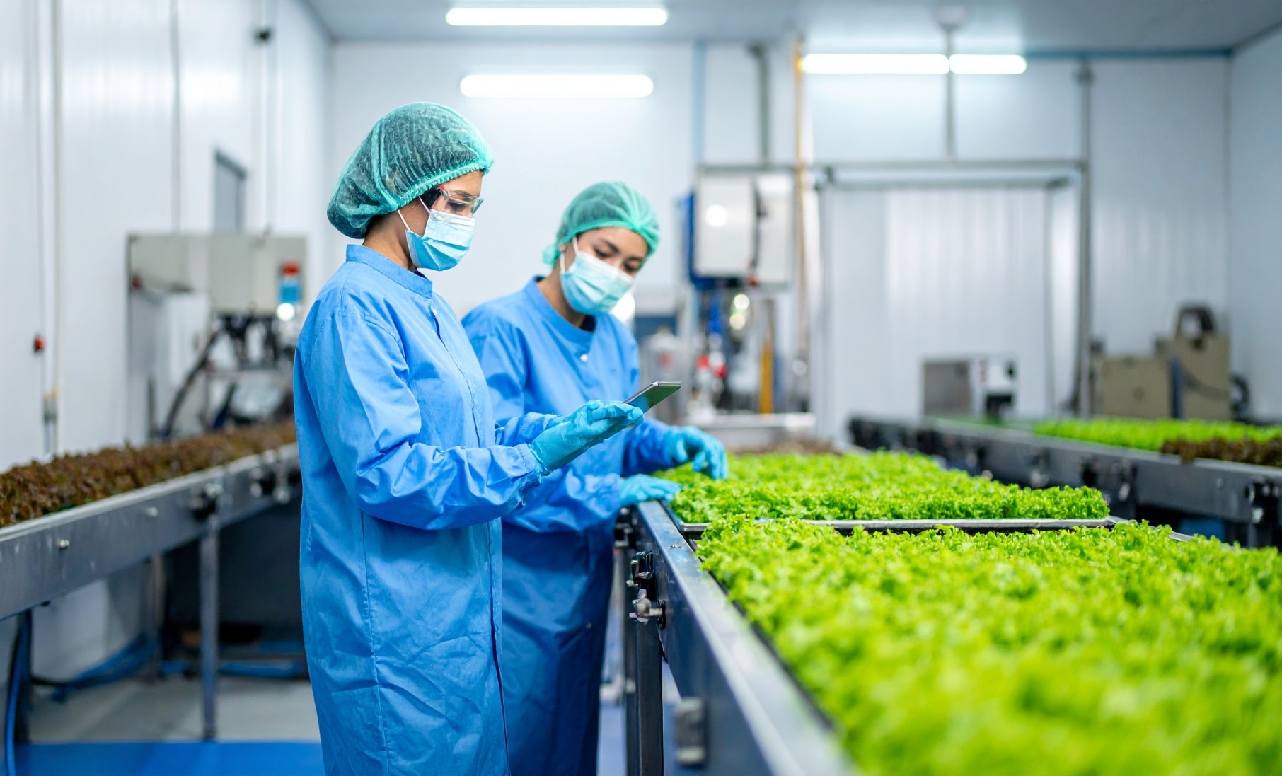 特定技能人材の支援