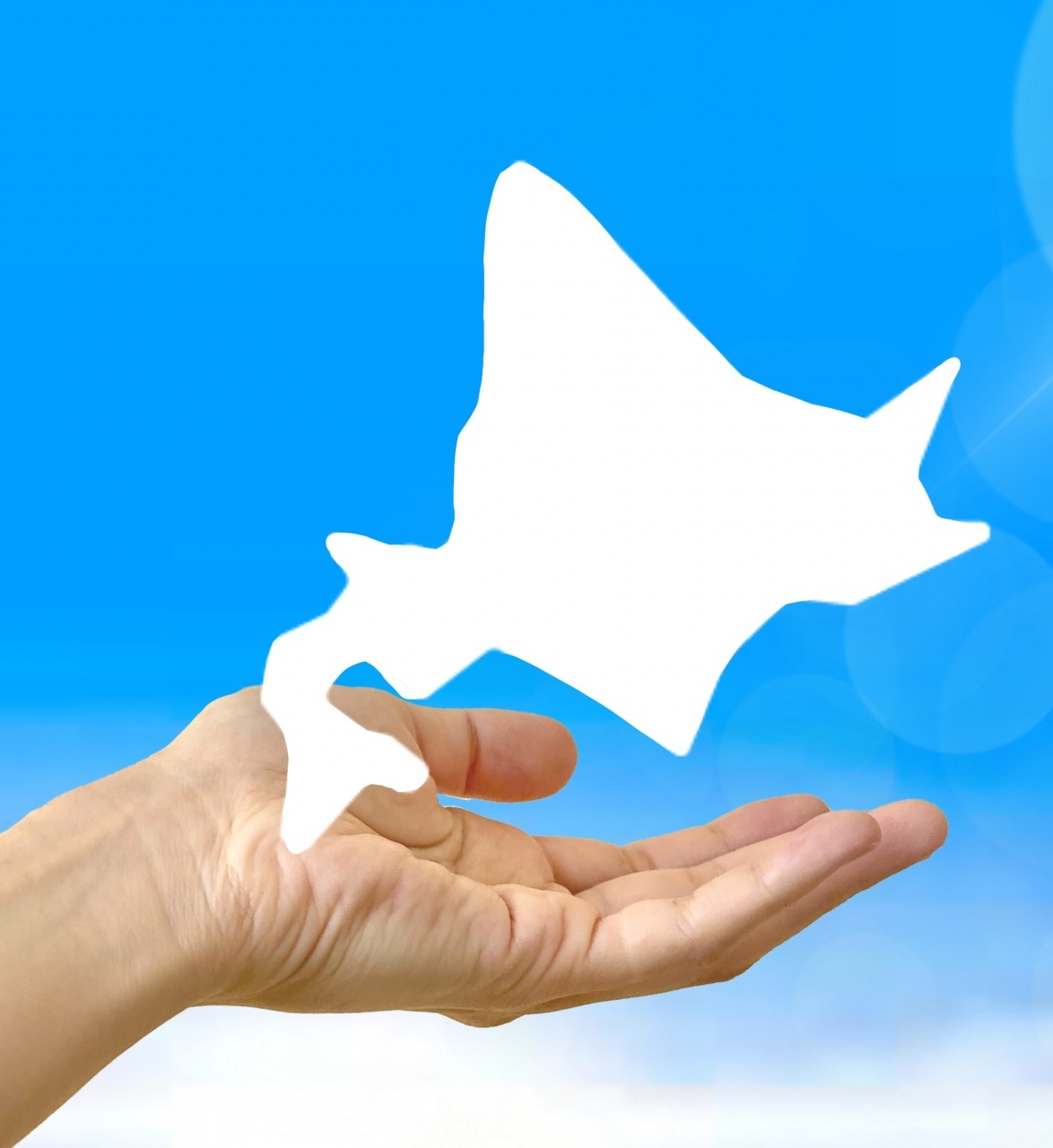 北海道の未来を支える外国人人材の好循環を目指して。